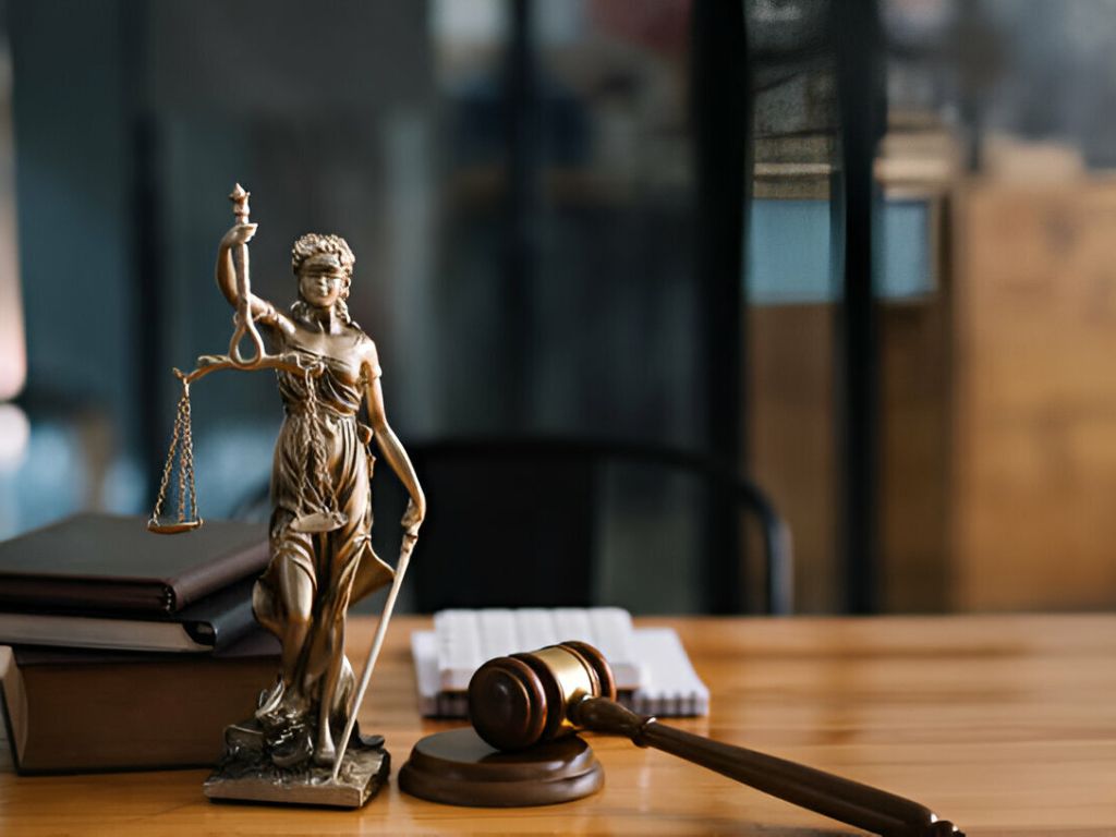 Employment Expert Witness Services